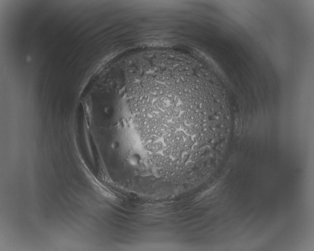 X0000070210725200606021254