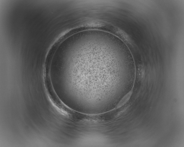 X0000070210726200606021254