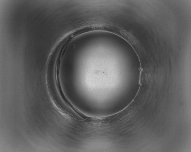 X0000070210728200606021254