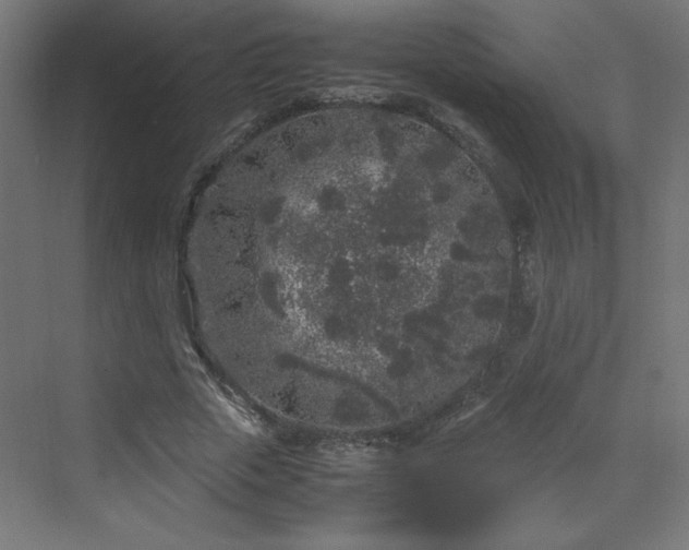 X0000070210729200606021254