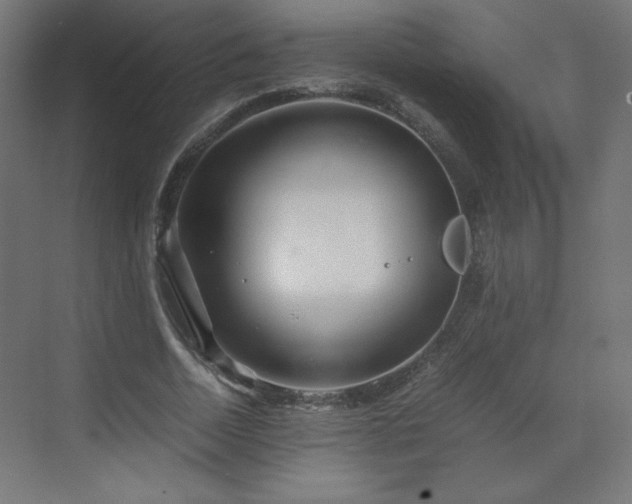 X0000070210730200606021254