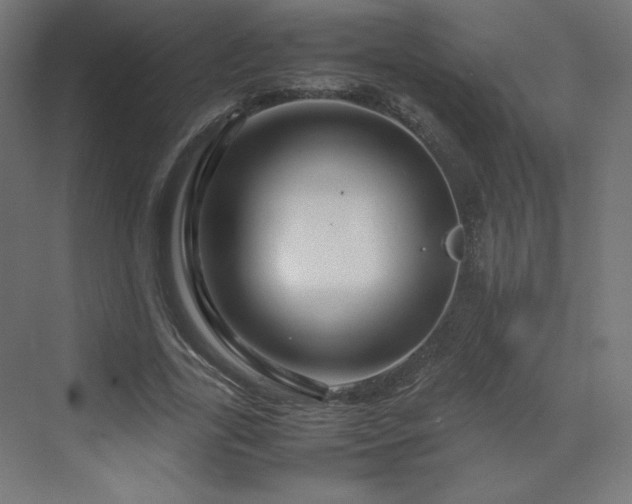 X0000070210731200606021254