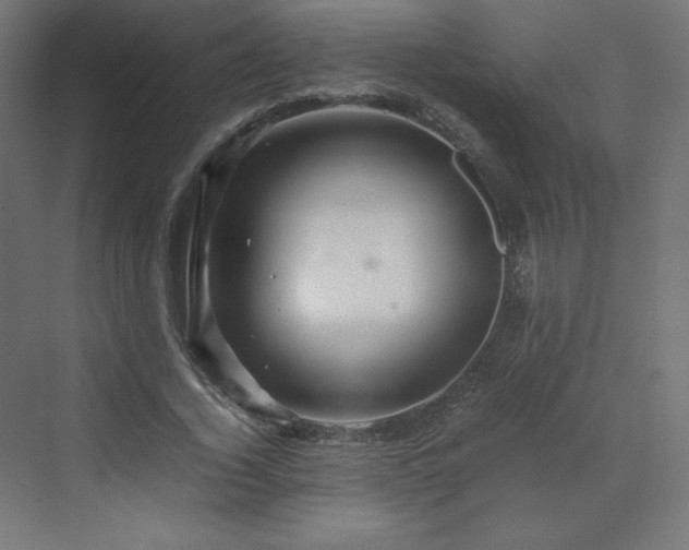 X0000070210732200606021254