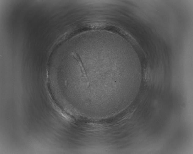 X0000070210733200606021254