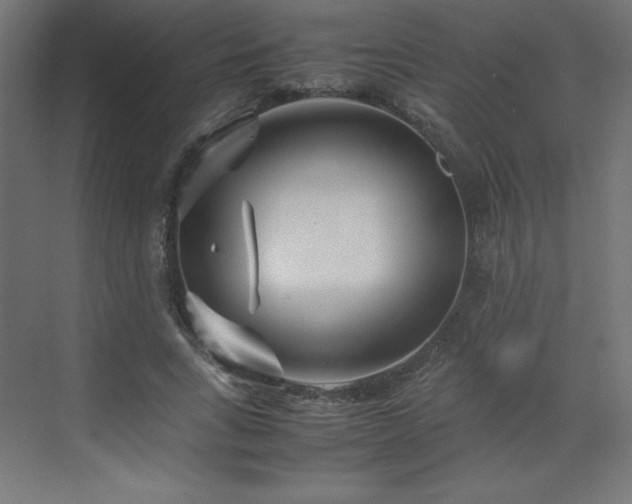 X0000070210735200606021254