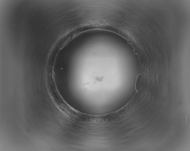 X0000070210736200606021254