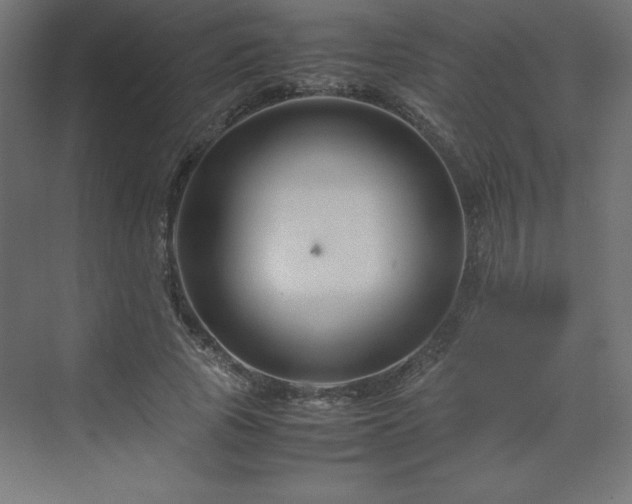 X0000070210737200606021254