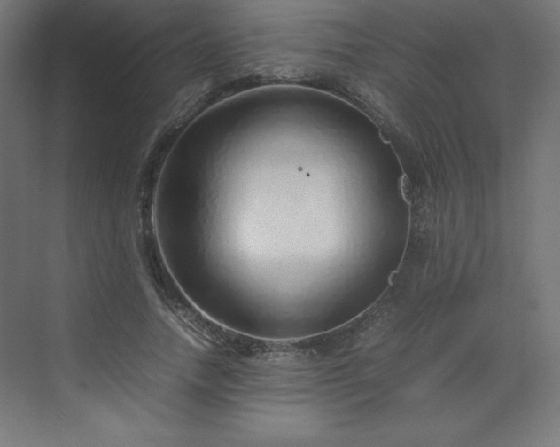 X0000070210738200606021254