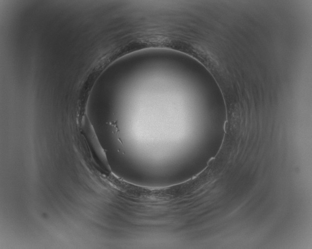 X0000070210739200606021254