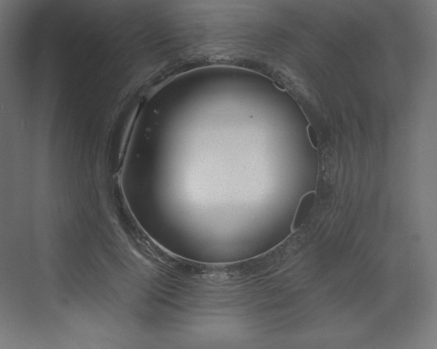 X0000070210740200606021254