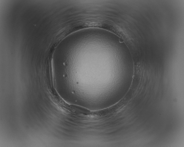 X0000070210741200606021255