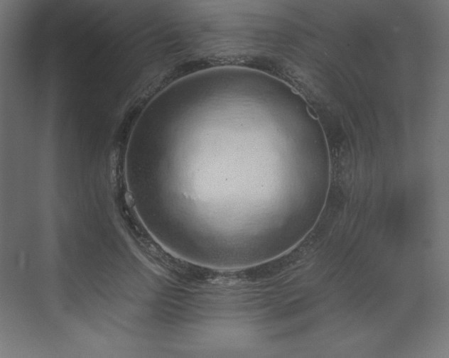 X0000070210742200606021255