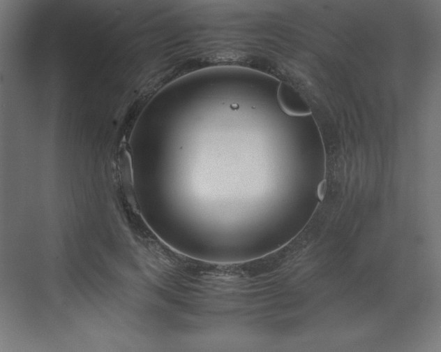 X0000070210743200606021255