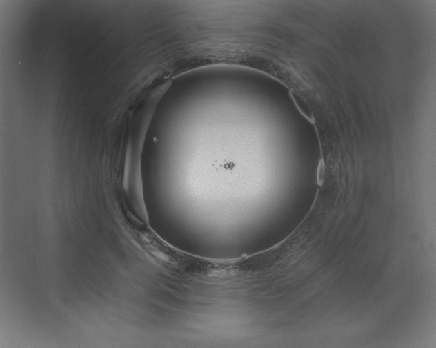 X0000070210744200606021255