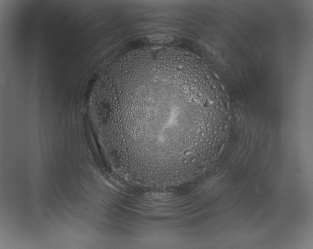 X0000070210745200606021255