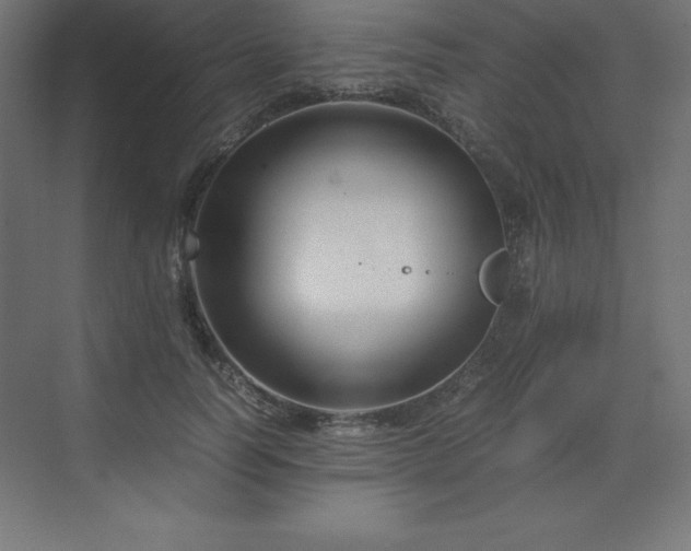 X0000070210746200606021255