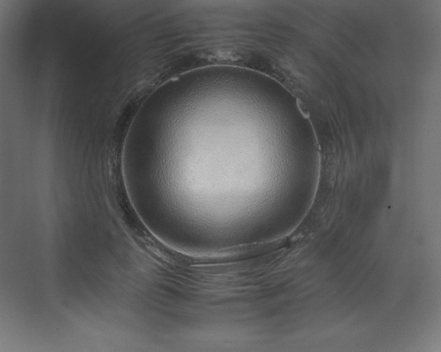 X0000070210747200606021255