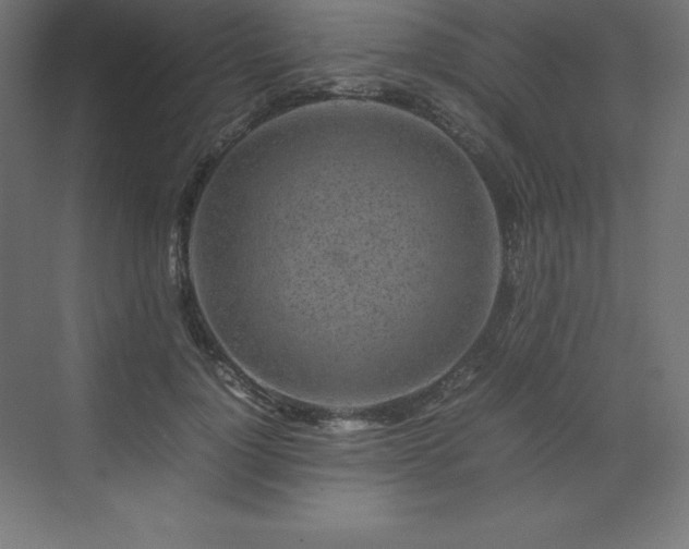 X0000070210748200606021255