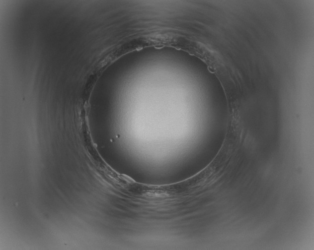 X0000070210749200606021255