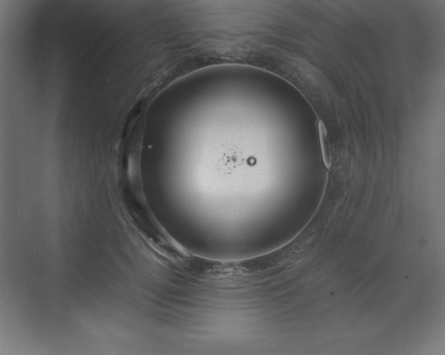 X0000070210752200606021255