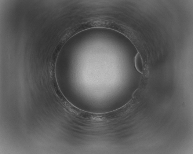 X0000070210753200606021255