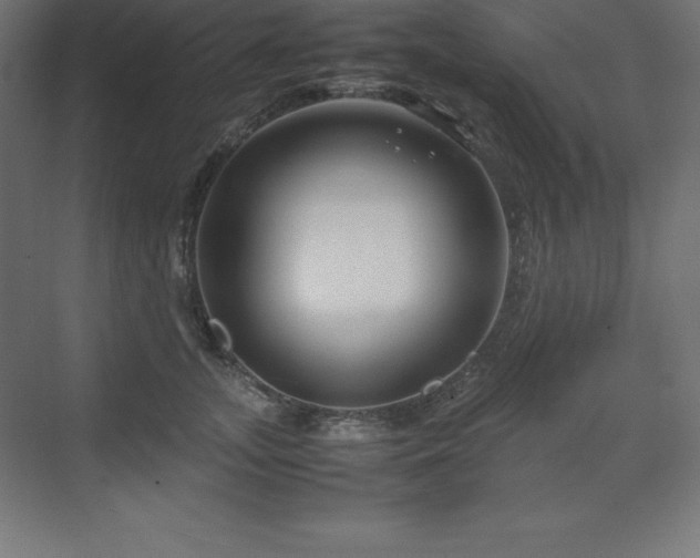 X0000070210755200606021255