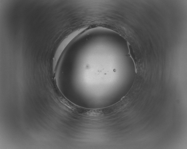 X0000070210756200606021255