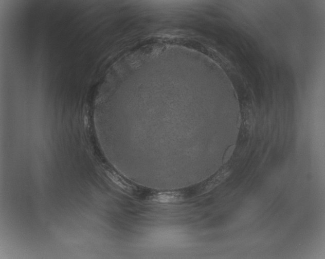 X0000070210758200606021255