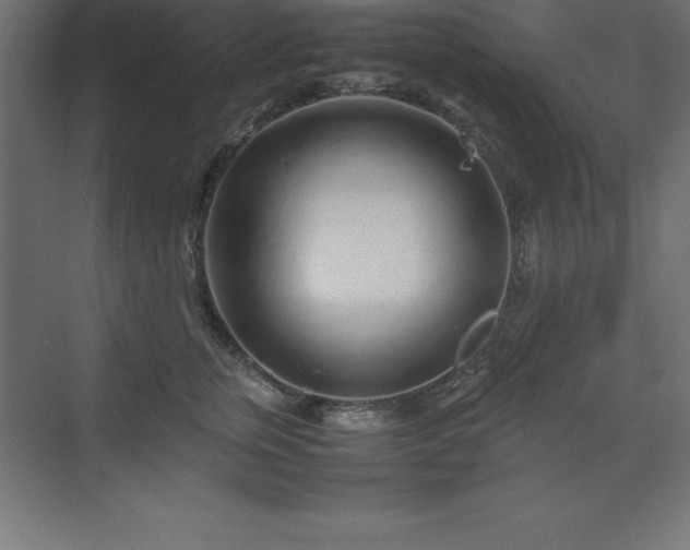 X0000070210759200606021255