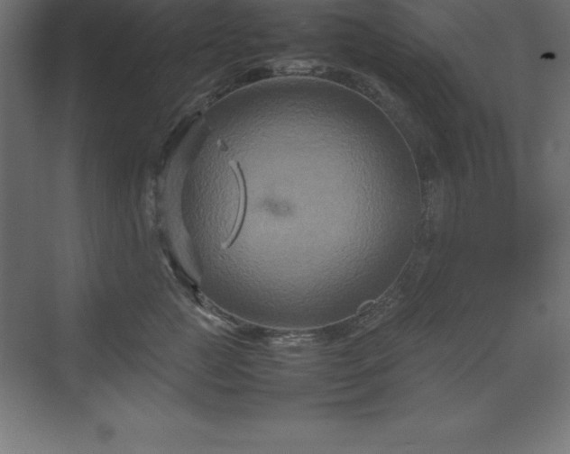 X0000070210761200606021255