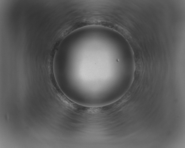 X0000070210762200606021255