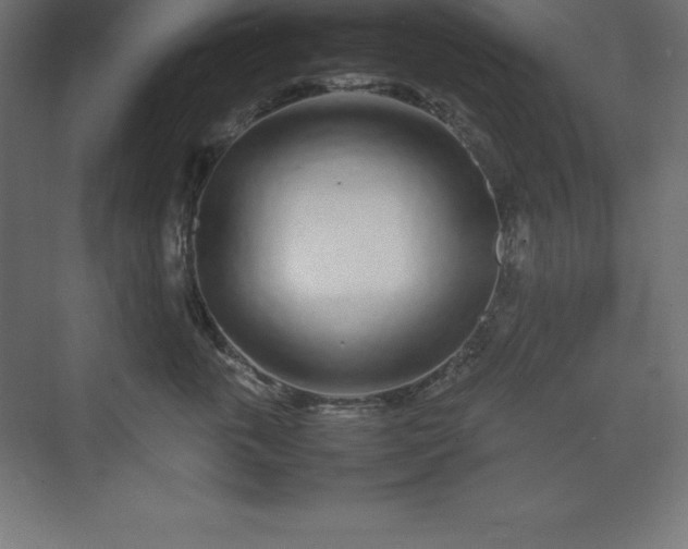 X0000070210763200606021255