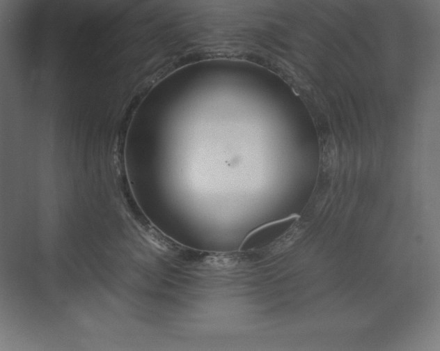 X0000070210764200606021255