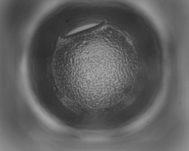 X0000070210765200606021255