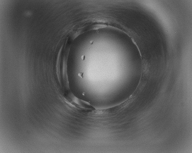 X0000070210766200606021255