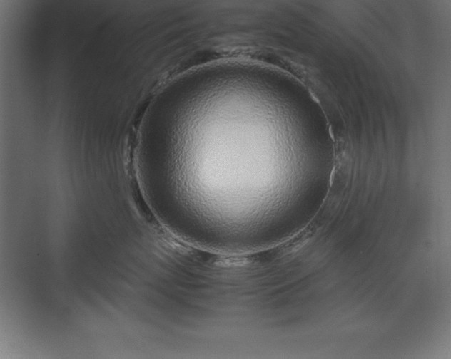 X0000070210767200606021255