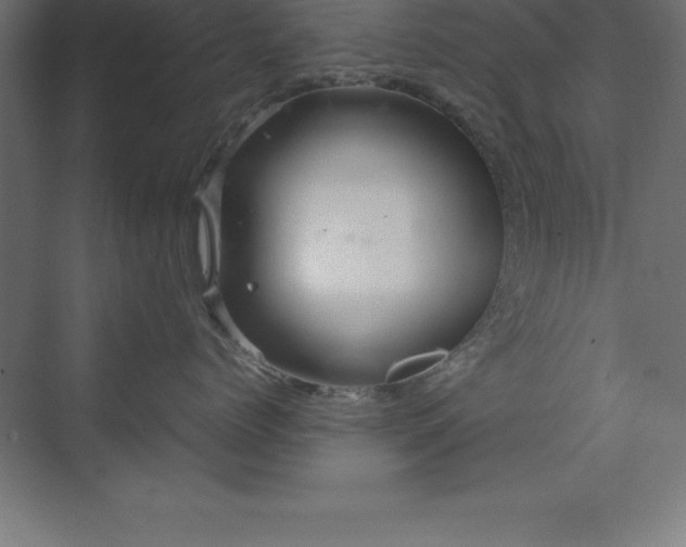 X0000070210768200606021255