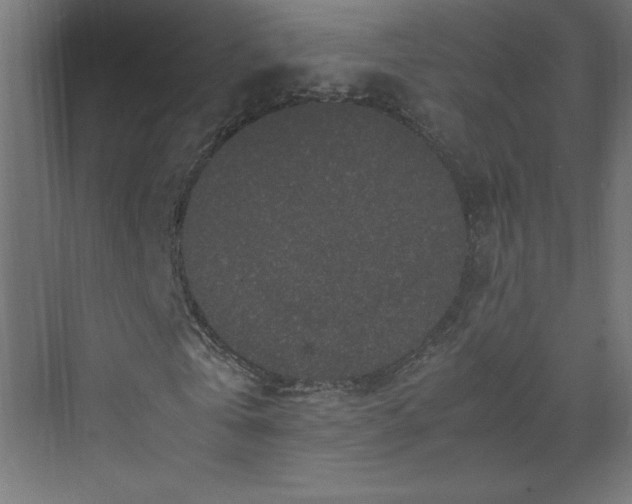 X0000070210769200606021254