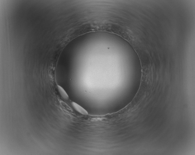 X0000070210770200606021254