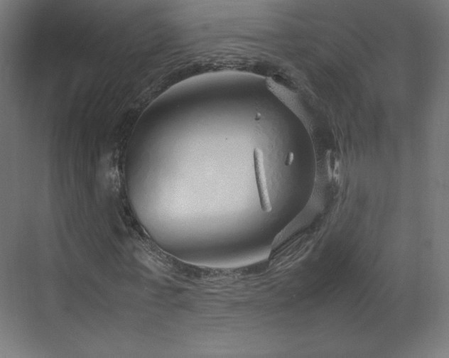 X0000070210771200606021254