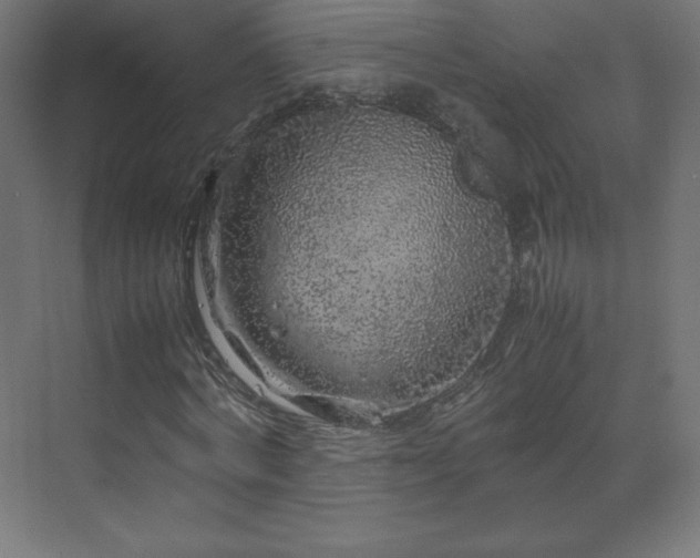 X0000070210772200606021254