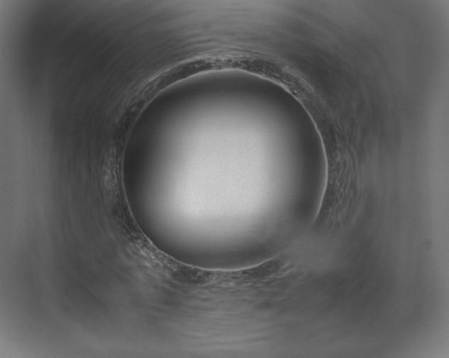 X0000070210773200606021254