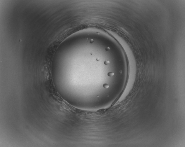 X0000070210774200606021254