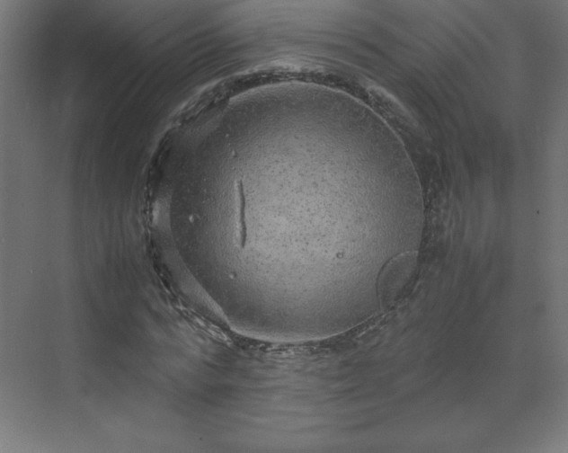 X0000070210776200606021254