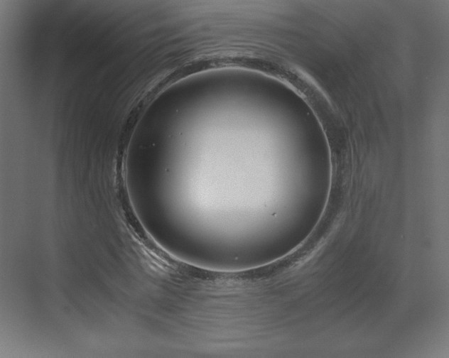 X0000070210777200606021254