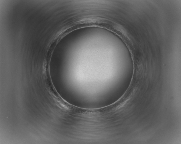 X0000070210778200606021254