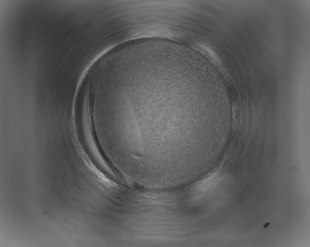 X0000070210780200606021254