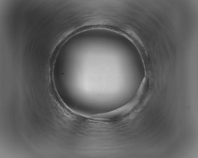 X0000070210781200606021254