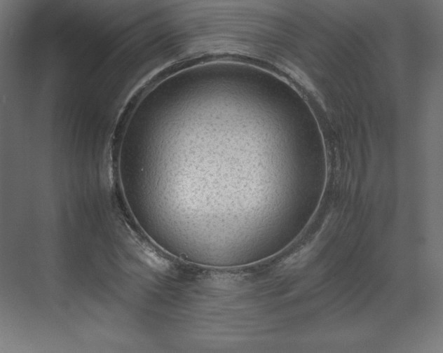 X0000070210782200606021254