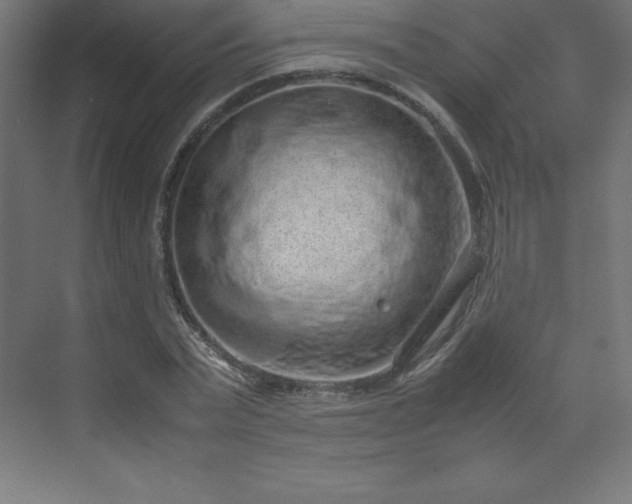 X0000070210783200606021254